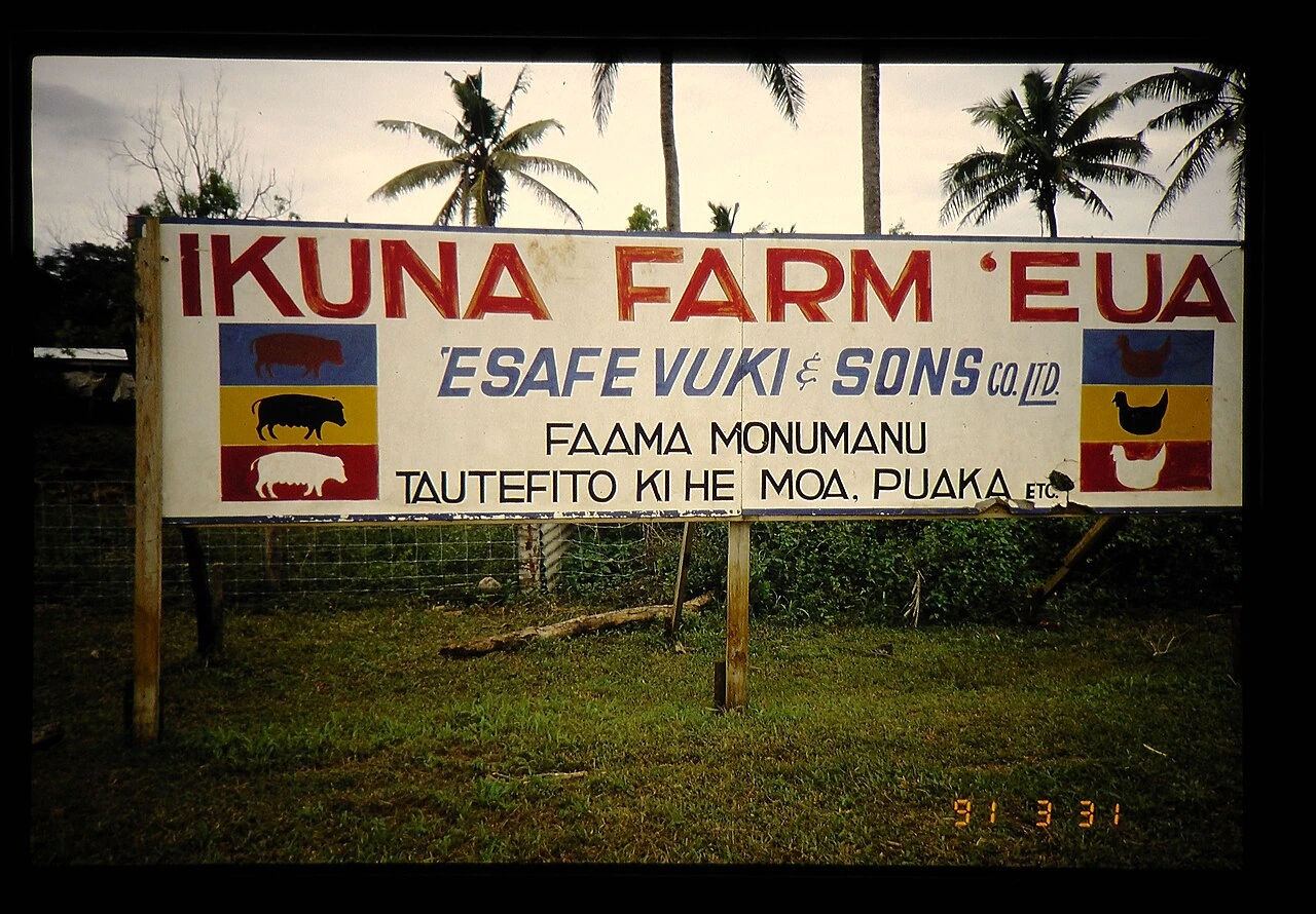 Tongan writing in use
