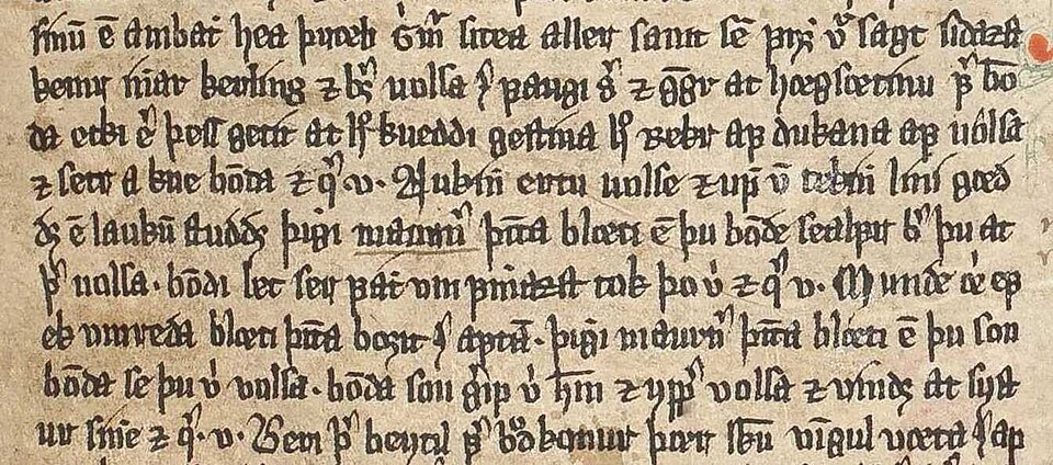 Flateyjarbók verse crop